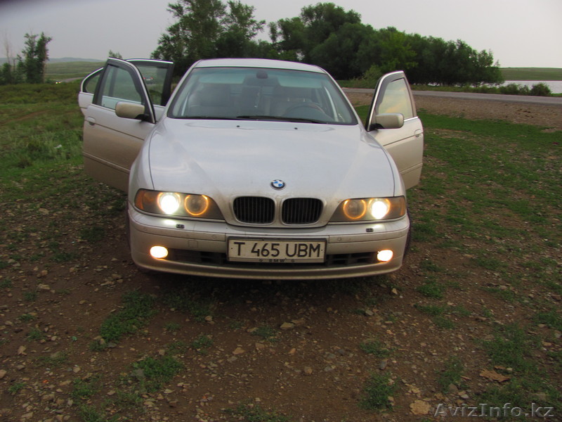 Досбол 87053247112   87024827864 - Изображение #1, Объявление #852402