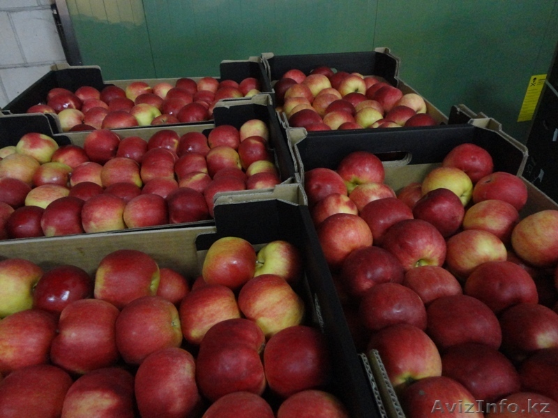 Польша ALDA Sp.J  darek@alda93.pl  - Изображение #1, Объявление #1008883