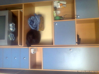 детская удобная для школьного возраста стенка  - Изображение #2, Объявление #906556