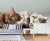 Фотообои,3д обои - Изображение #7, Объявление #1695105