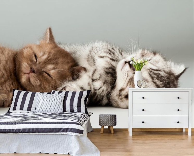 Фотообои,3д обои - Изображение #7, Объявление #1695105